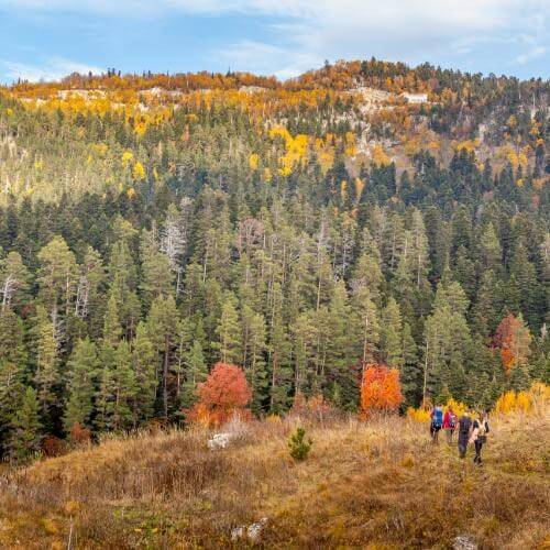 Фото: от партнёра.
