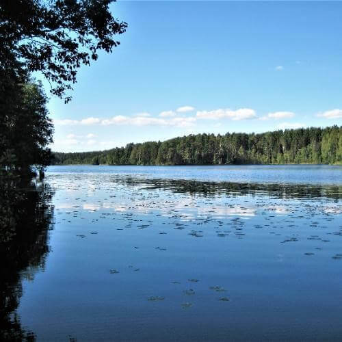 Щучье озеро. Фото: Александровы АГ, CC BY-SA 4.0 https://creativecommons.org/licenses/by-sa/4.0, via Wikimedia Commons