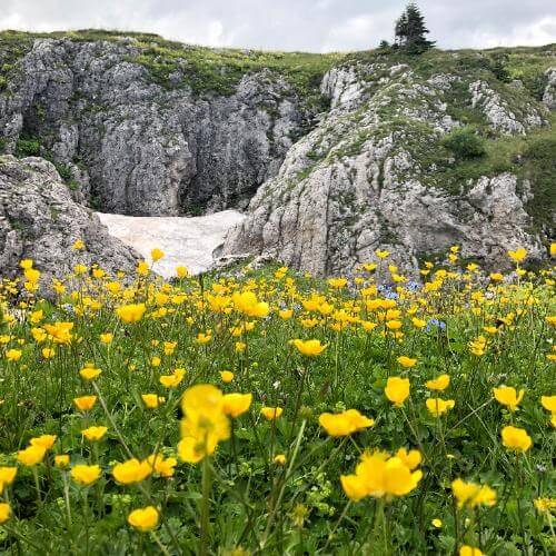 Фото: от партнера