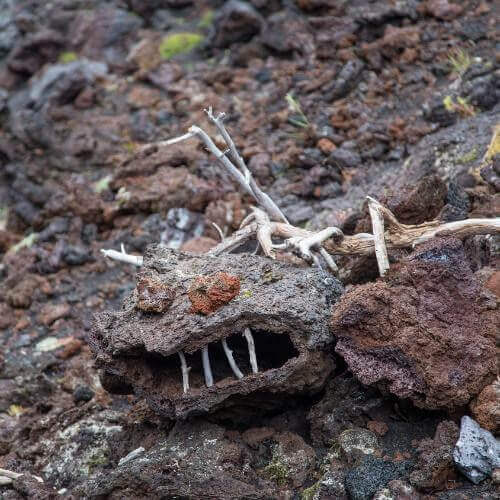 Фото от партнёра.