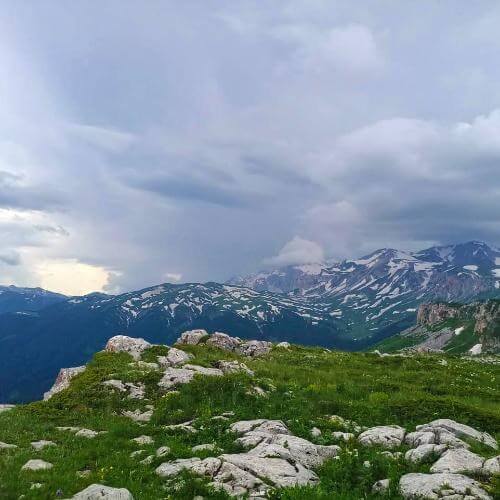 Фото: от партнера