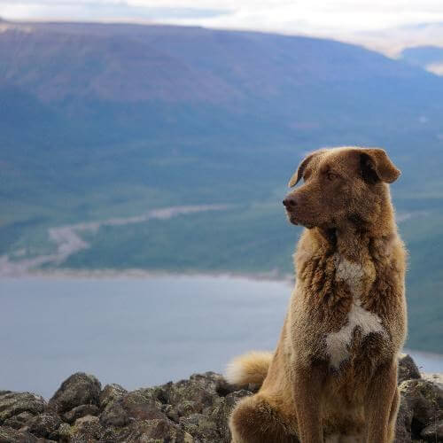 Источник: от партнёра           