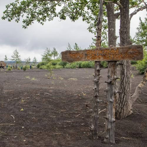 Фото от партнёра.