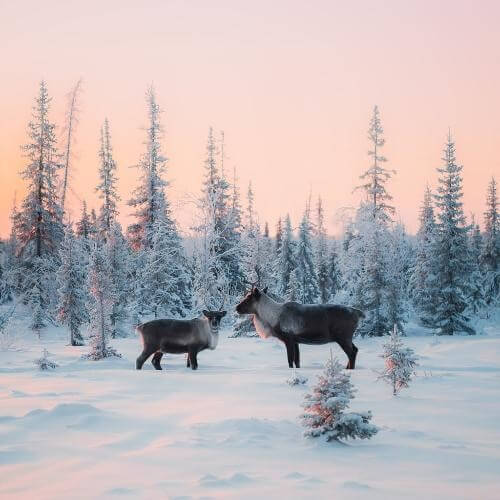 Источник: Pexels