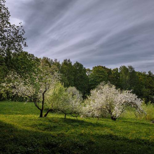 Фото: Музей Зарайск, CC BY-SA 4.0 https://creativecommons.org/licenses/by-sa/4.0, via Wikimedia Commons