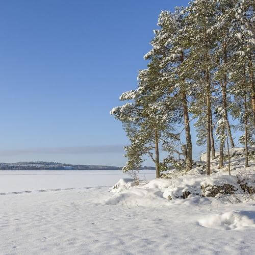 Источник: Pixabay