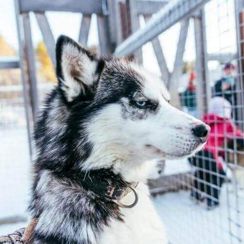 Фото от партнёра.