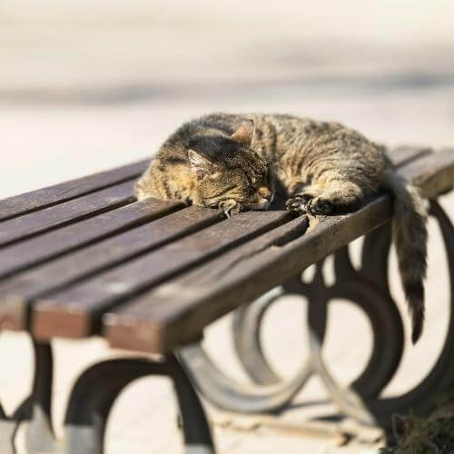 Источник: Unsplash