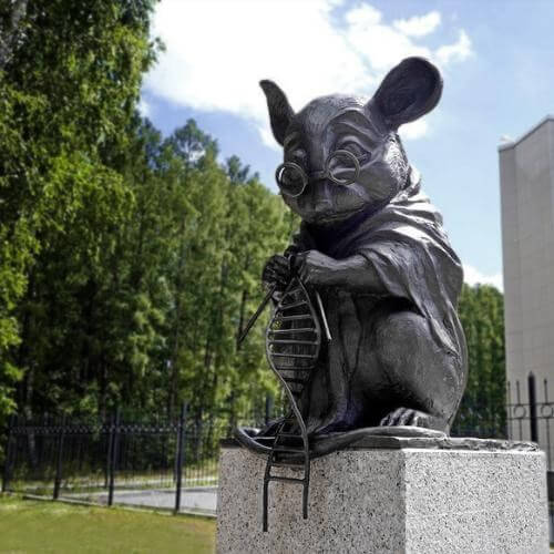 Источник: региональный фотобанк Новосибирской области