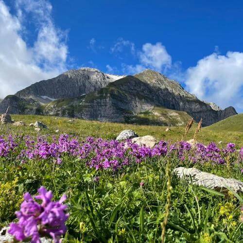 Фото: от партнёра