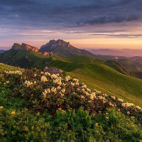 Фото: Altushkin, CC BY-SA 4.0 https://creativecommons.org/licenses/by-sa/4.0, via Wikimedia Commons