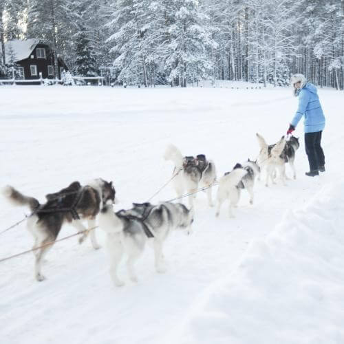 Фото: от партнёра.    