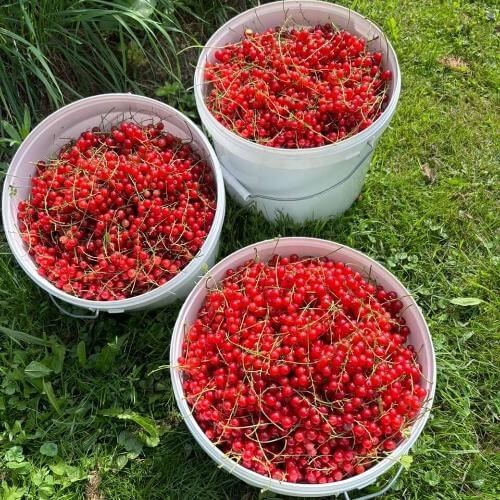 Фото: от партнера