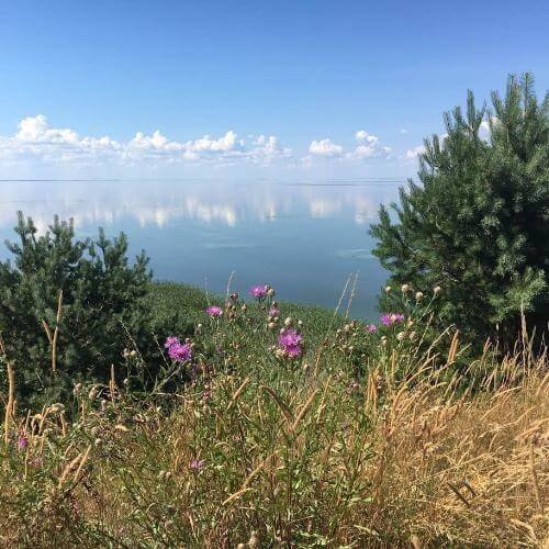 Фото из собственного архива