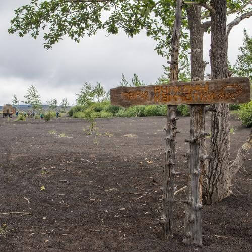 Фото от партнёра.