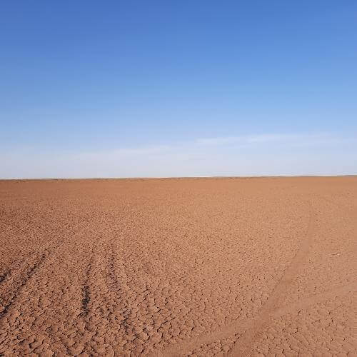 Фото от партнёра.