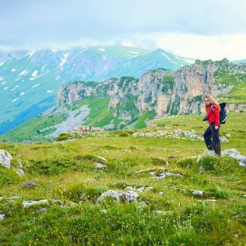 Фото: от партнёра.