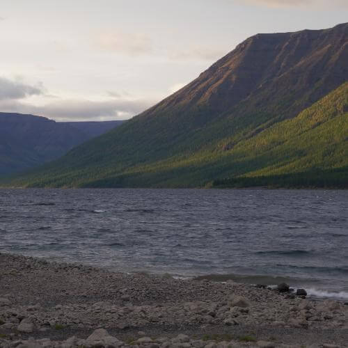 Источник: от партнёра           