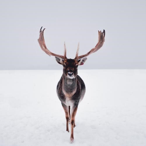 Источник: Pexels