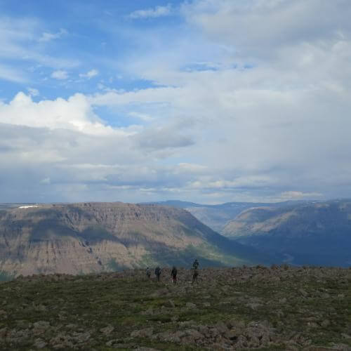 Источник: от партнёра             