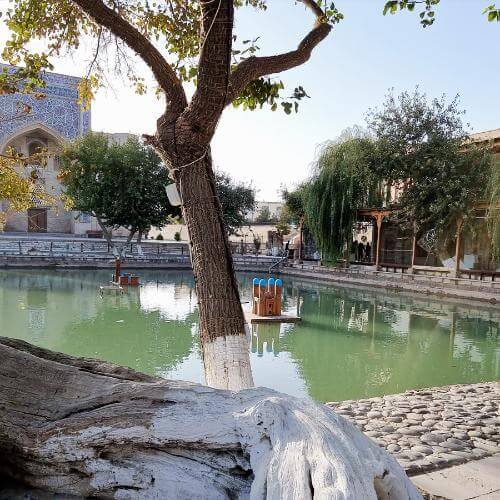 Фото от партнёра.