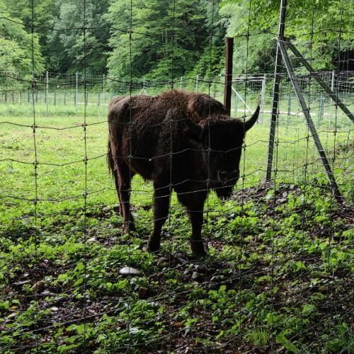 Фото: от партнера