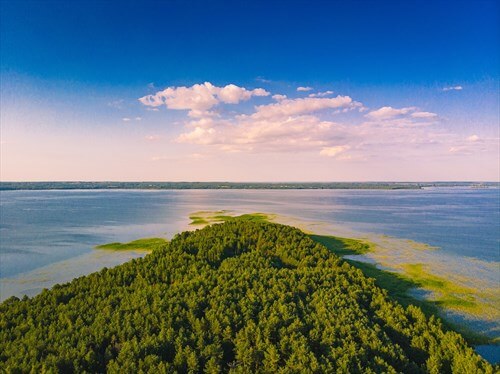 Фото: Владислав Алексеевец, CC BY-SA 4.0 https://creativecommons.org/licenses/by-sa/4.0, via Wikimedia Commons