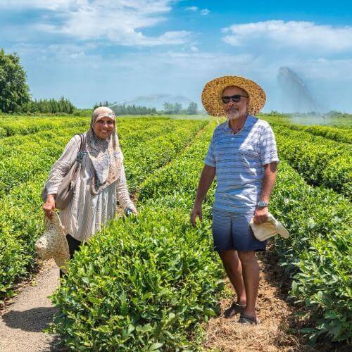 Фото от партнёра.