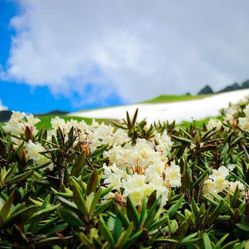 Фото: от партнёра