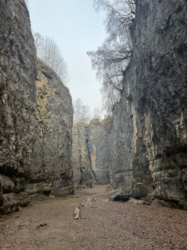Фото: от партнера