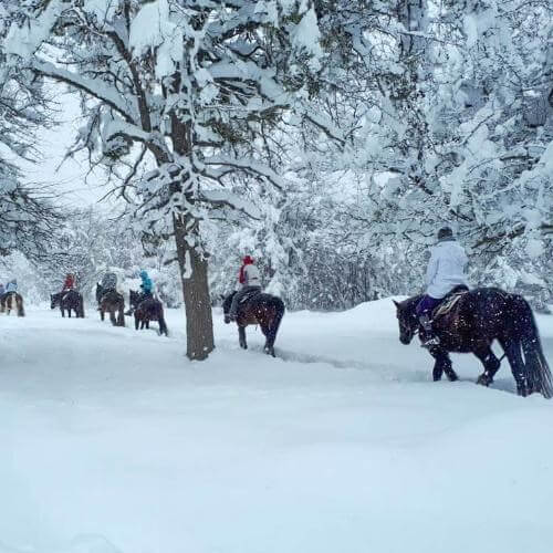Фото от партнёра.