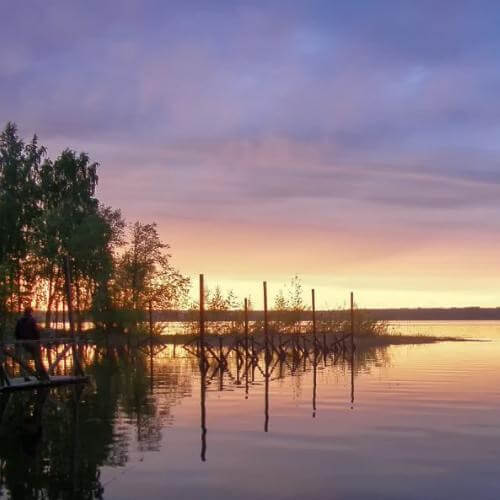 Фото: Vyacheslav.photo, CC BY-SA 4.0 https://creativecommons.org/licenses/by-sa/4.0, via Wikimedia Commons