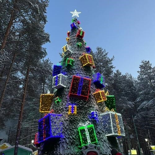 Фото: от партнёра.