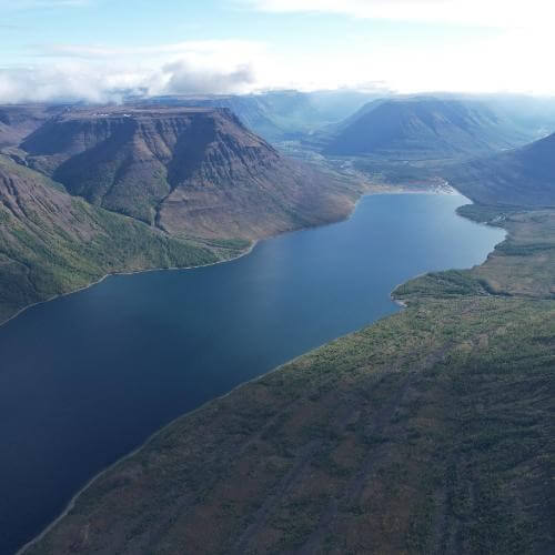 Фото: от партнера