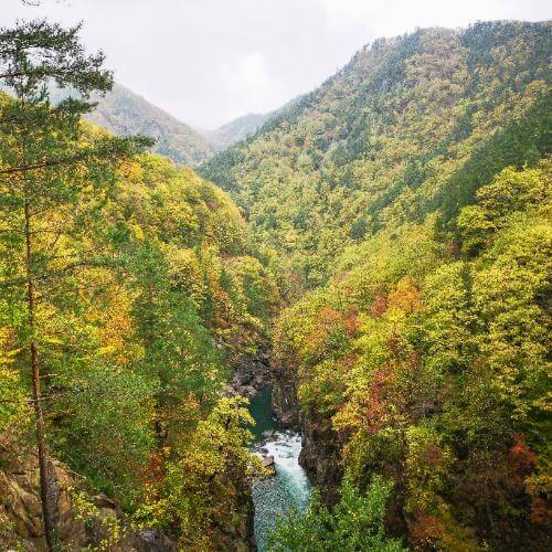 Фото: от партнёра.