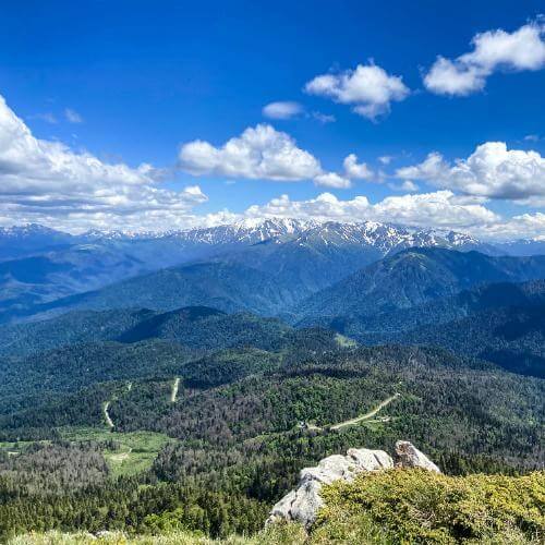 Фото: от партнёра