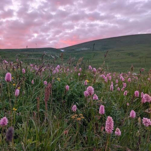 Фото: от партнёра