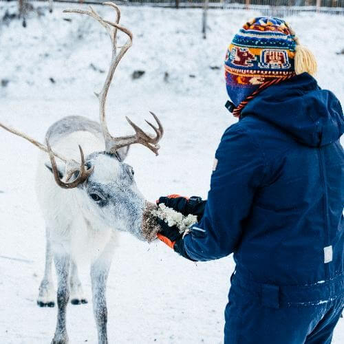 Саамская деревня. Фото от партнёра.