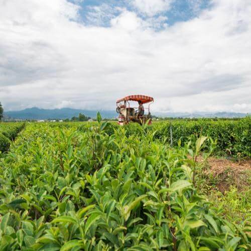 Фото от партнёра.