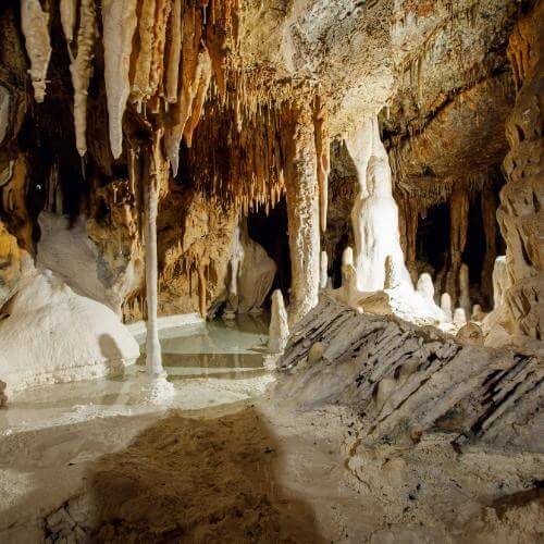 Фото: от партнёра.