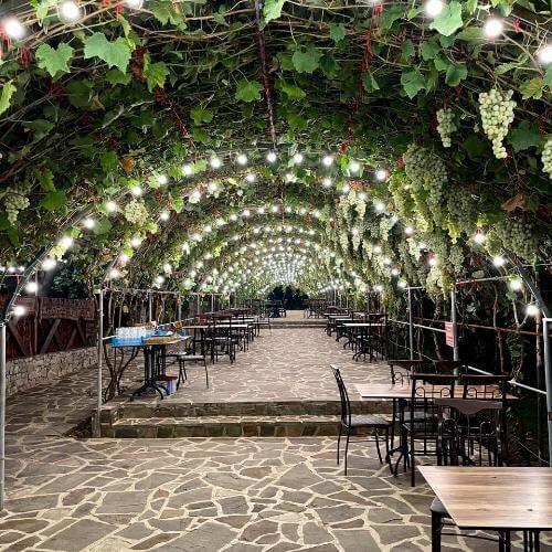 Фото от партнёра.