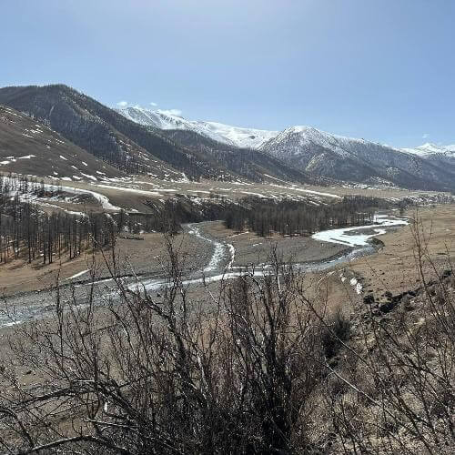 Фото от партнёра.