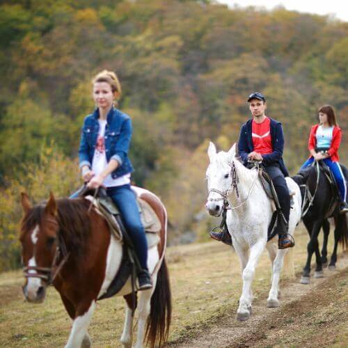 Фото: от партнера