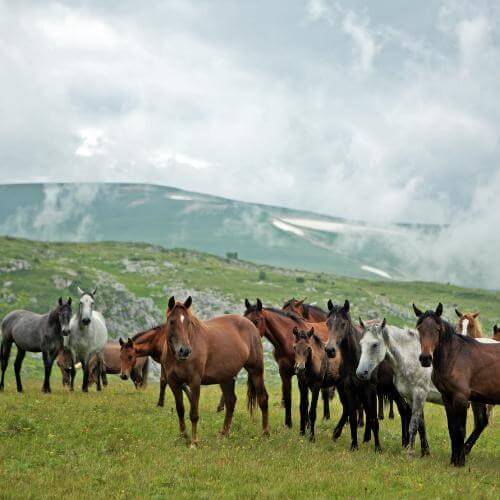 Фото: от партнёра