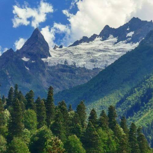 Фото: от партнёра.