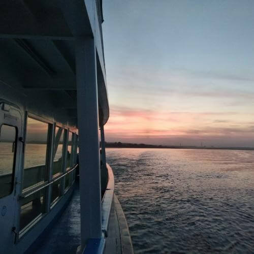 Источник: Unsplash