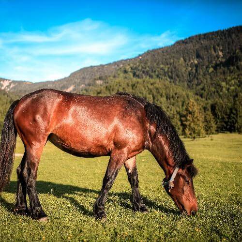 Источник: Pexels