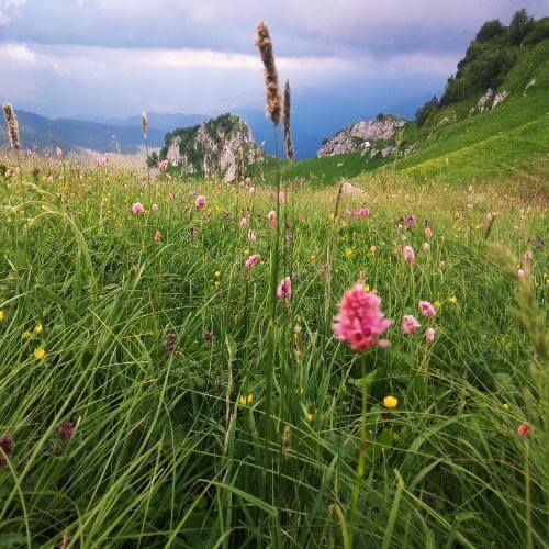 Фото: от партнёра