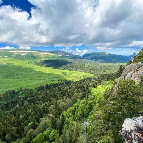 Фото: от партнёра