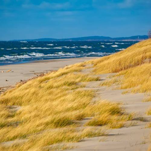 Фото: региональный фотобанк Калининградской области